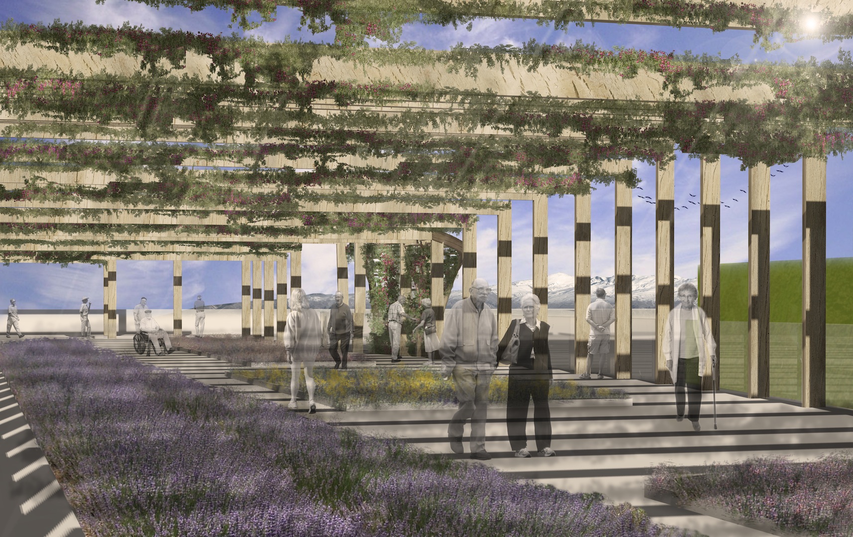 singularq-architecture-lab-concurso-arquitectura